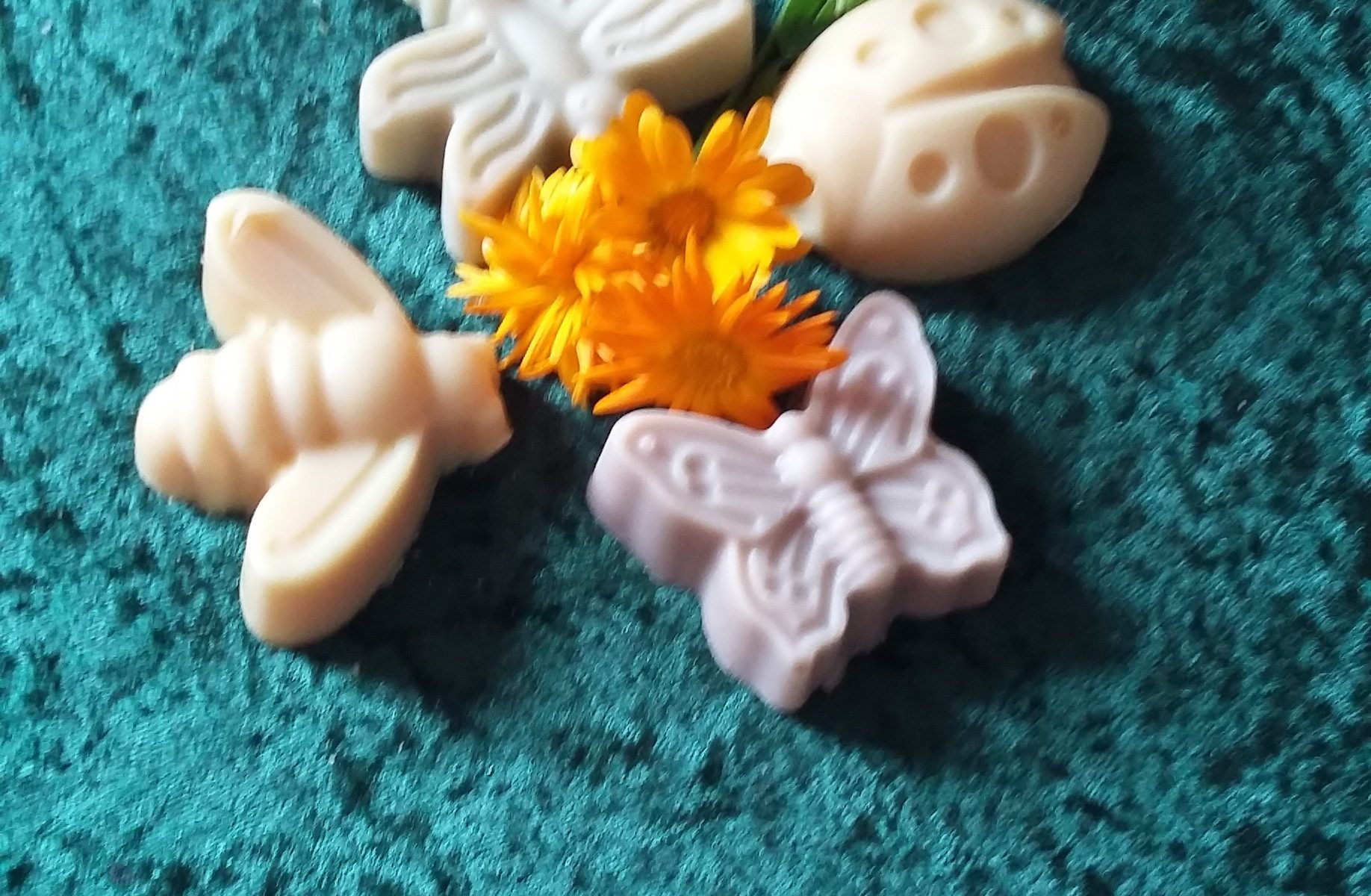 Novelty Soap - Insects & Bugs!