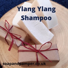 Shampoo Bars - Ylang Ylang