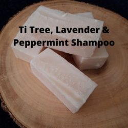 Solid Shampoo - Ti Tree, Lavender & Peppermint